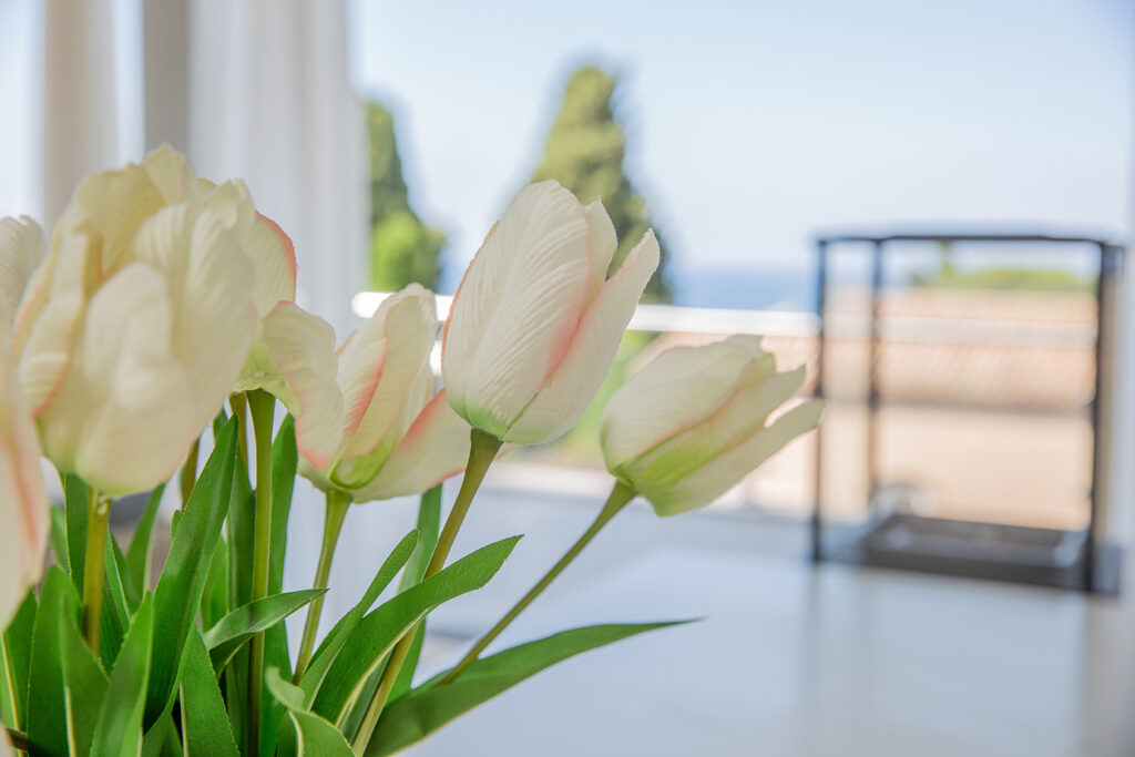 Villa sandryon roof terrace 7